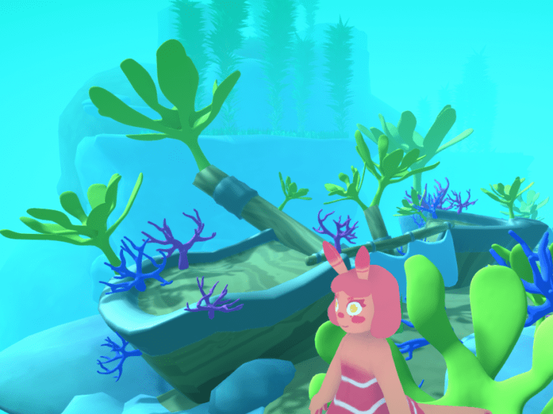 Coral Reef Area&nbsp;Showcase